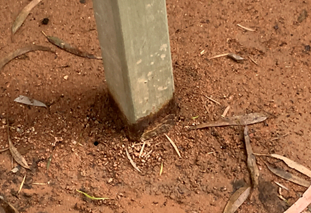 Example of corrosion on steel pole