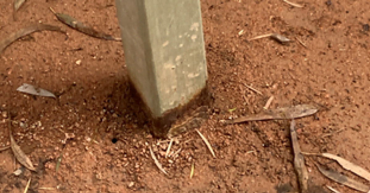 Example of corrosion on steel pole